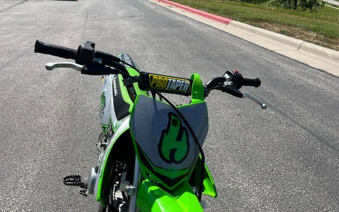2022 Kawasaki KLX110R L