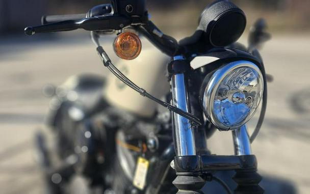 2022 Harley-Davidson® XL883N - Iron 883™