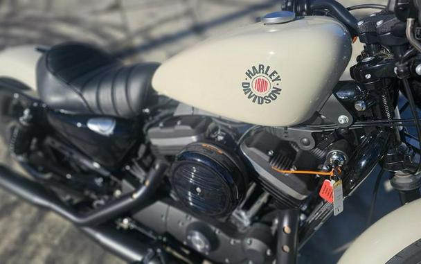 2022 Harley-Davidson® XL883N - Iron 883™