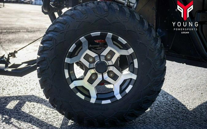 2017 Kawasaki Teryx4 LE