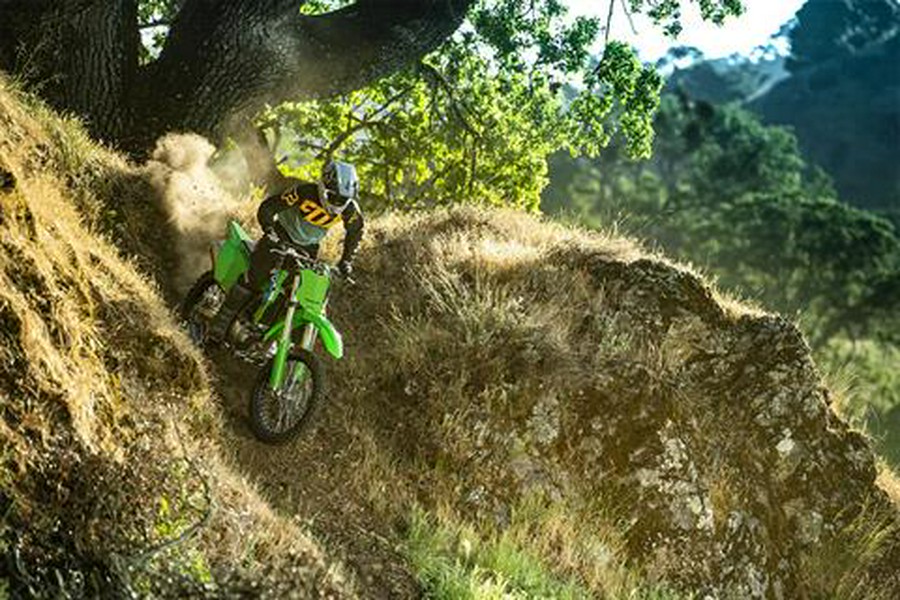 2026 Kawasaki KLX®300R