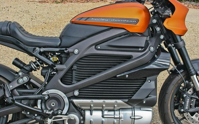2020 Harley-Davidson® ELW - LiveWire™