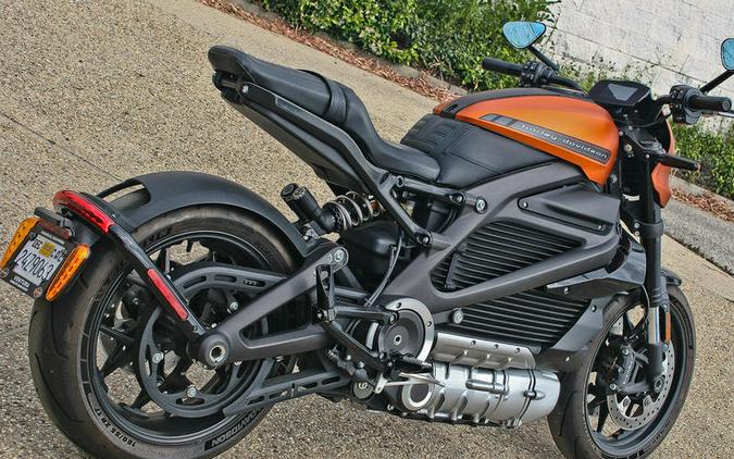 2020 Harley-Davidson® ELW - LiveWire™