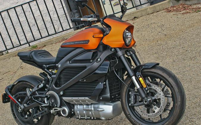 2020 Harley-Davidson® ELW - LiveWire™
