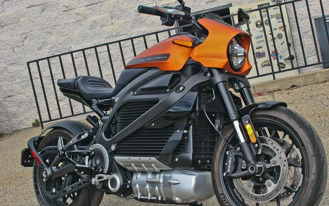 2020 Harley-Davidson® ELW - LiveWire™