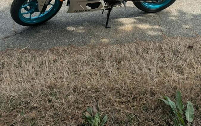 2024 Yamaha YZF R3
