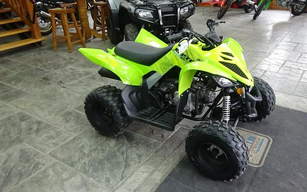 2026 Yamaha Raptor 110