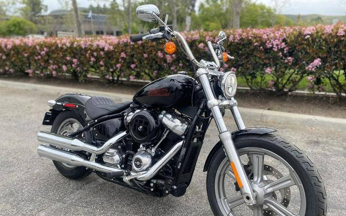 2023 Harley-Davidson® FXST - Softail® Standard