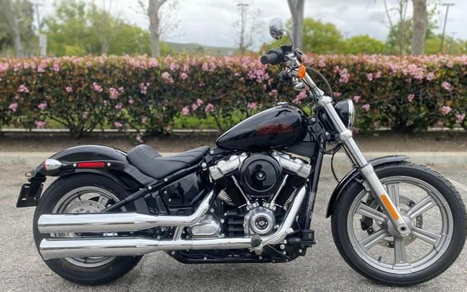 2023 Harley-Davidson® FXST - Softail® Standard