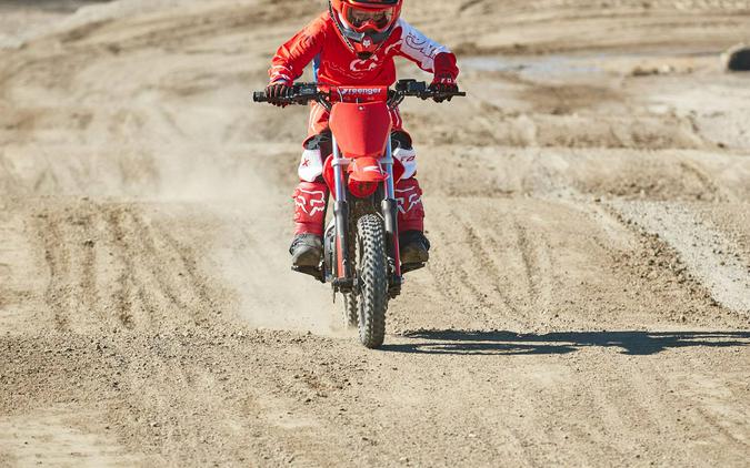 2022 Greenger Powersports CRF-E2