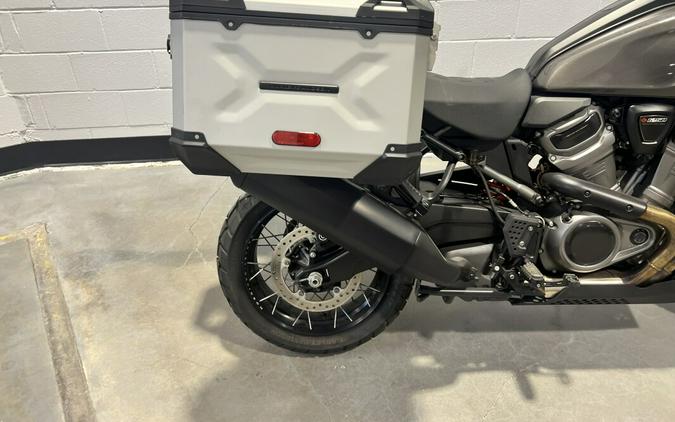 2023 Harley-Davidson Pan America™ 1250 Gray Haze RA1250S