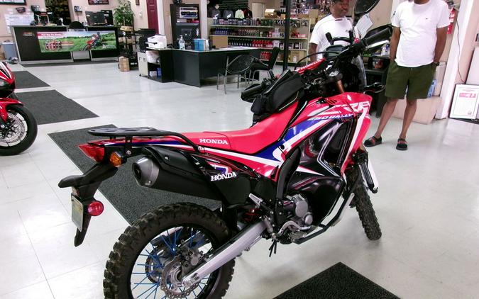 2019 Honda® CRF250L Rally