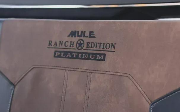 New 2026 KAWASAKI MULE PROFXT 1000 LE PLATINUM RANCH EDITION