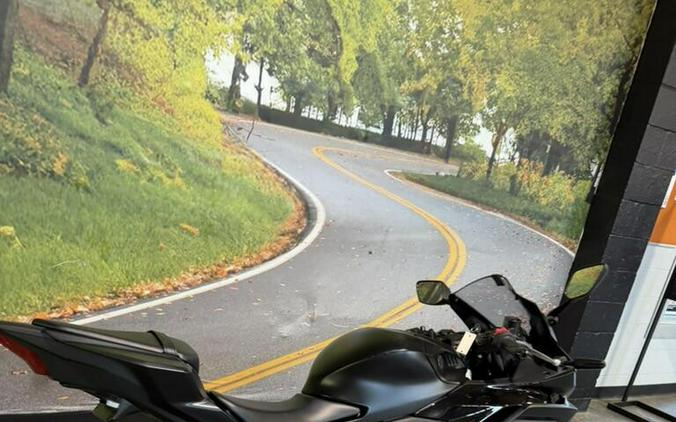 2025 Yamaha YZF-R3