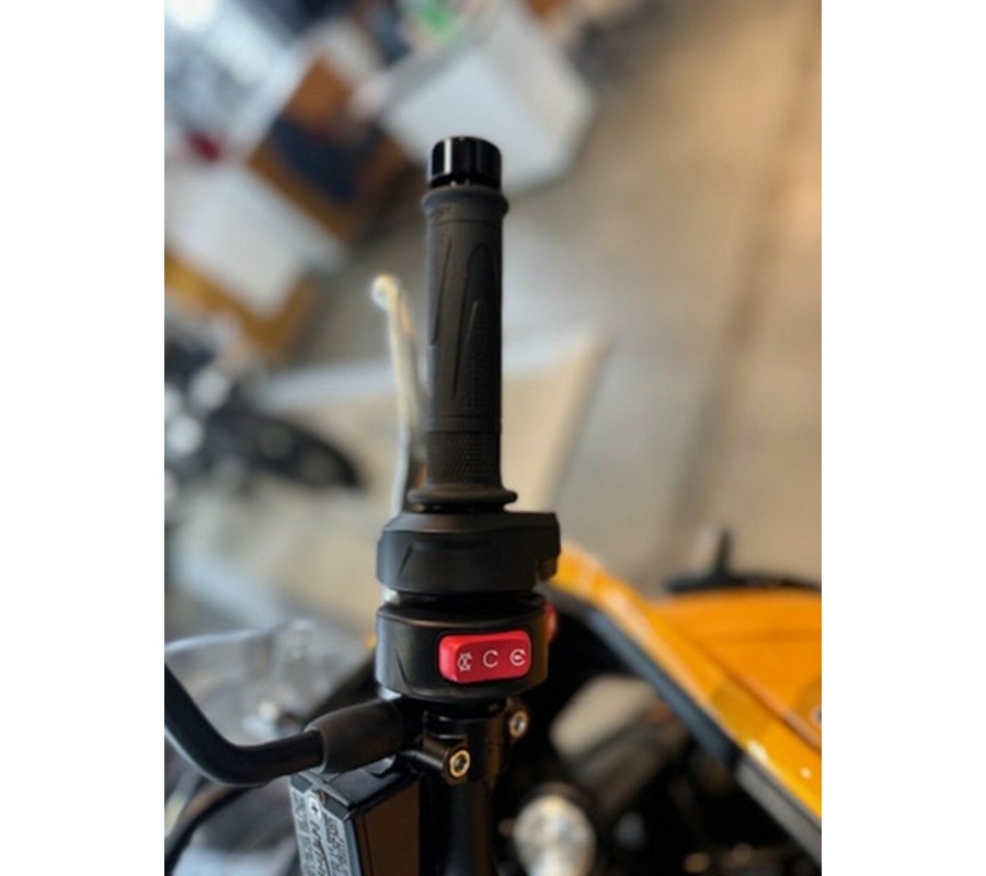 2026 Triumph Tiger Sport 800