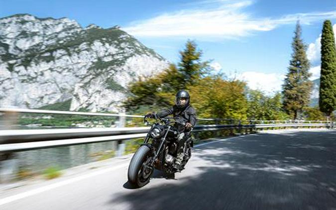 2025 Benda Chinchilla 500