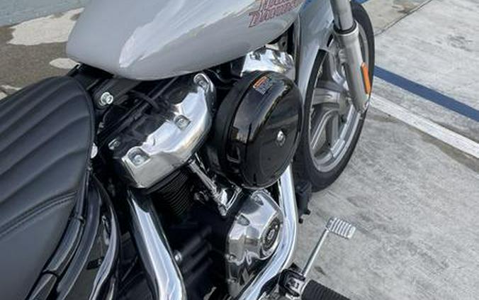 2024 Harley-Davidson® FXST - Softail® Standard