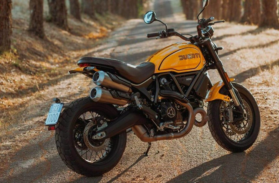 2023 Ducati Scrambler 1100 Tribute PRO