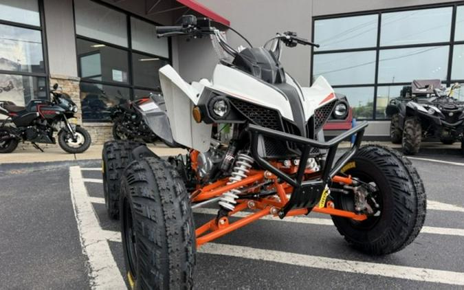 2027 Kayo Storm 300 EFI