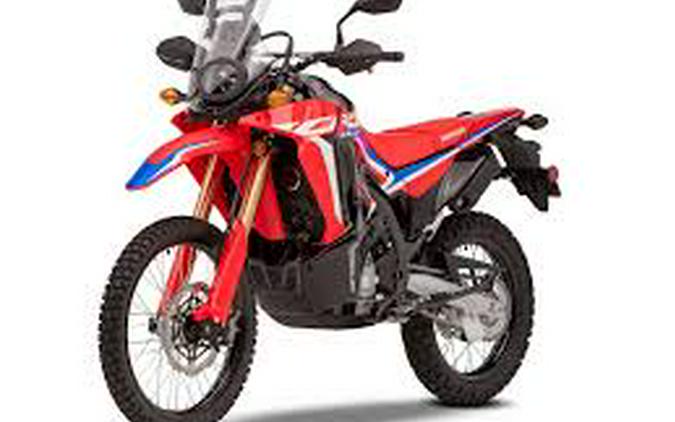 2024 HONDA CRF300L RALLY