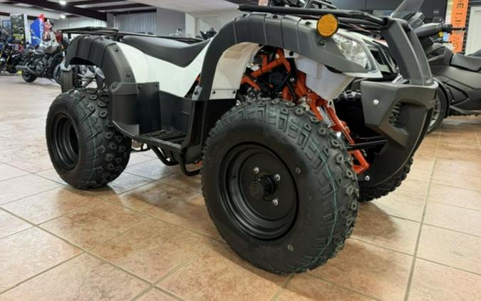 2026 Kayo Bull 150 EFI