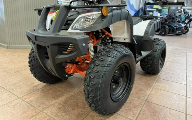 2026 Kayo Bull 150 EFI