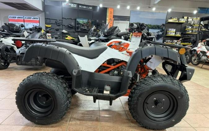 2026 Kayo Bull 150 EFI