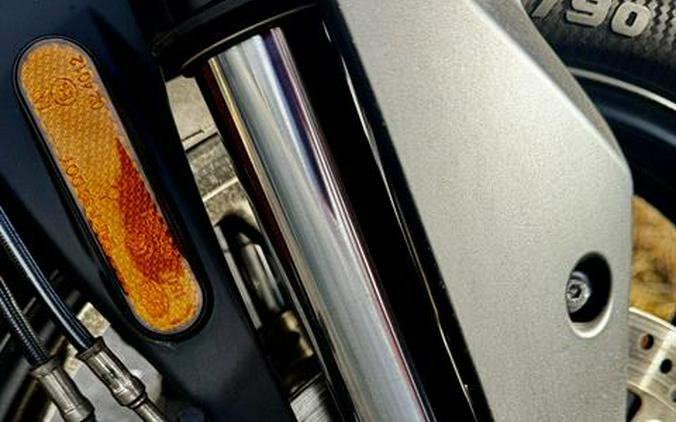 2021 Triumph Tiger 900 GT