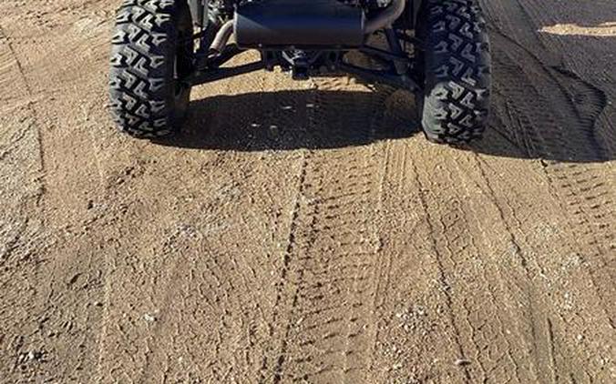 2024 Polaris® Ranger 1000 Premium