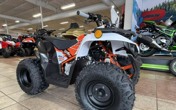 2026 Kayo Bull 125 EFI