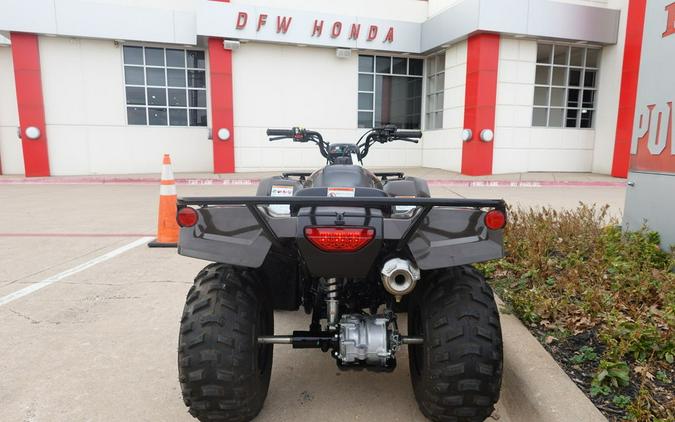 2022 Honda FourTrax Recon® Base