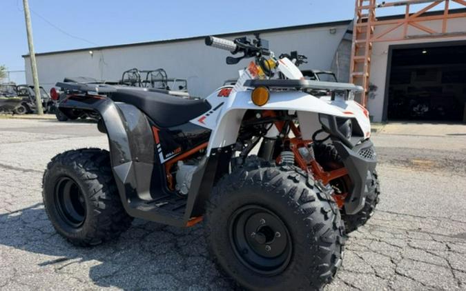 2027 Kayo Bull 110