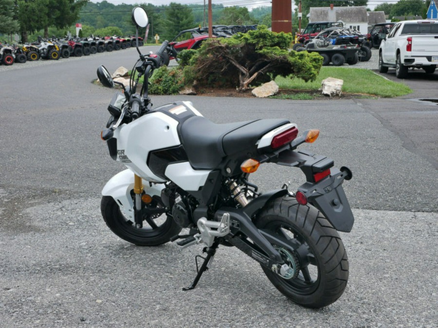 2025 Honda Grom