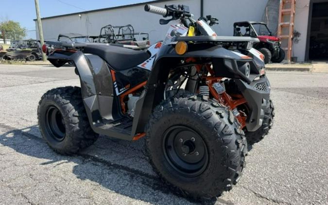 2027 Kayo Bull 110