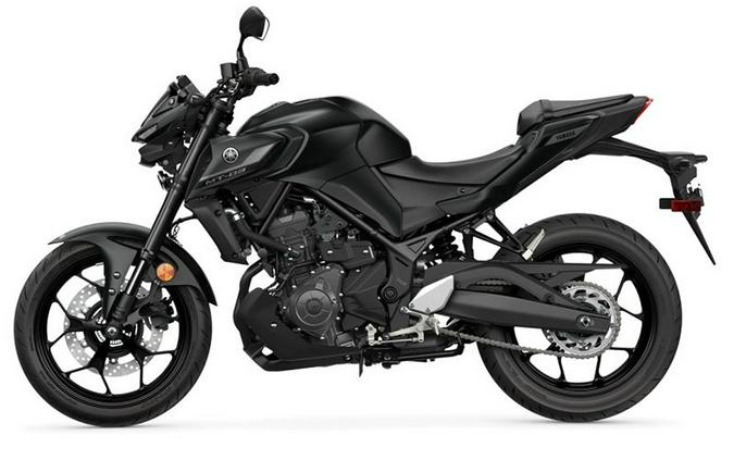 2025 Yamaha MT-03