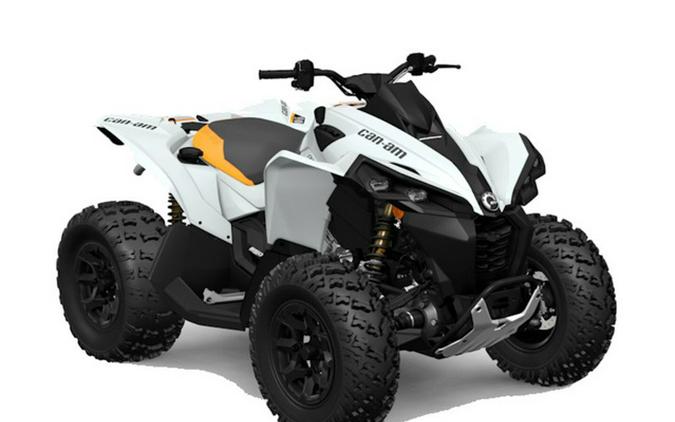 2025 Can-Am Renegade 650