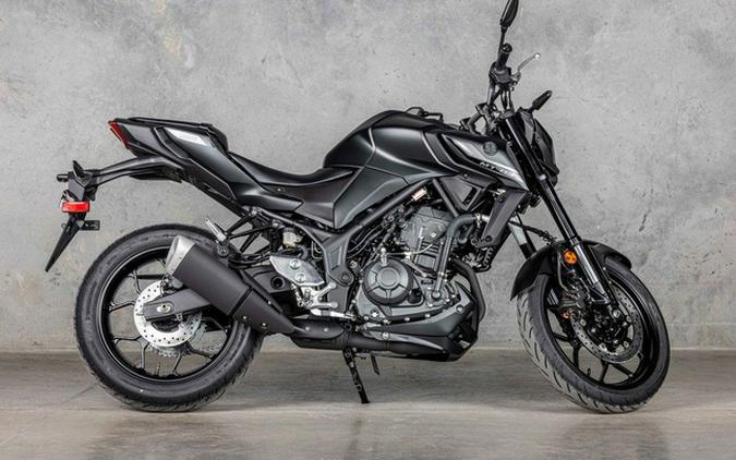 2026 Yamaha MT 03
