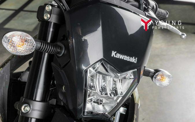 2026 Kawasaki KLX 300