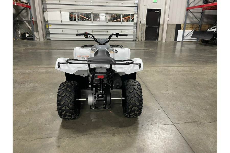 2024 Yamaha Grizzly 90