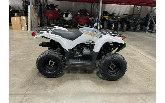 2024 Yamaha Grizzly 90