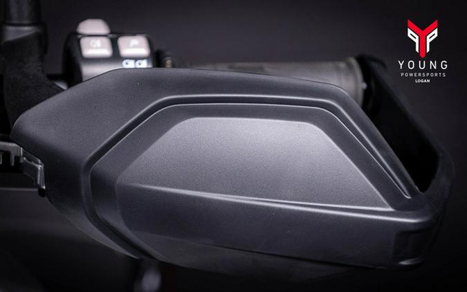 2026 Triumph Tiger 900 Alpine Edition