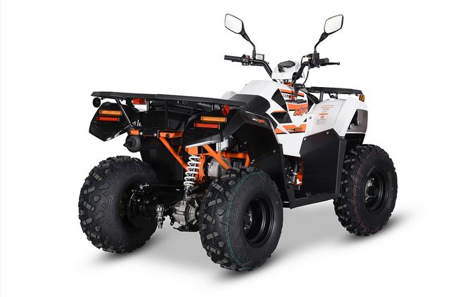 2024 Kayo NEW! Bull 300 EFI [Age 14+]