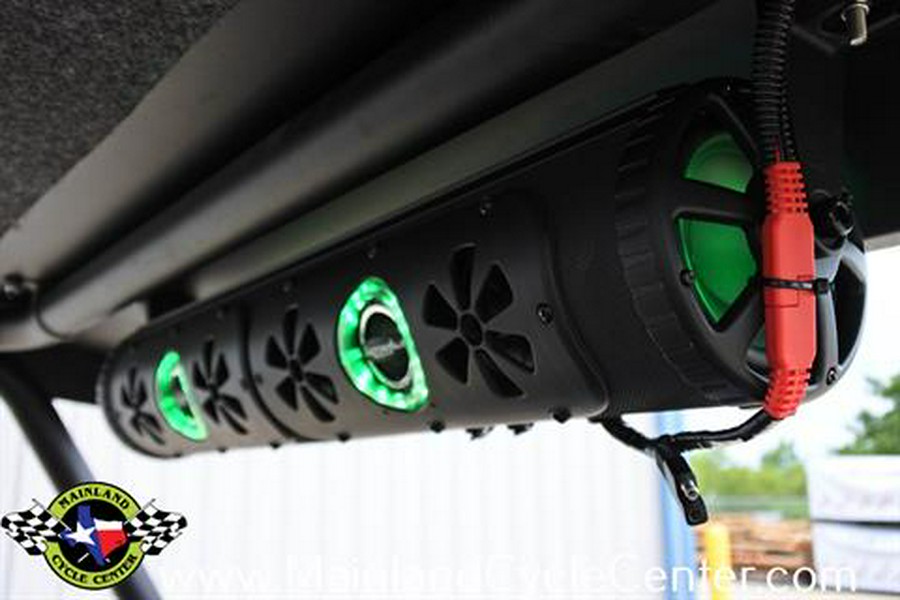 2017 Kawasaki Teryx4