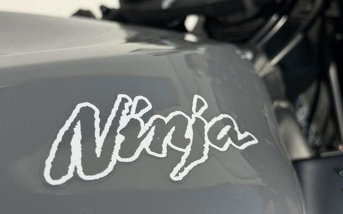 2019 Kawasaki Ninja ZX-6R