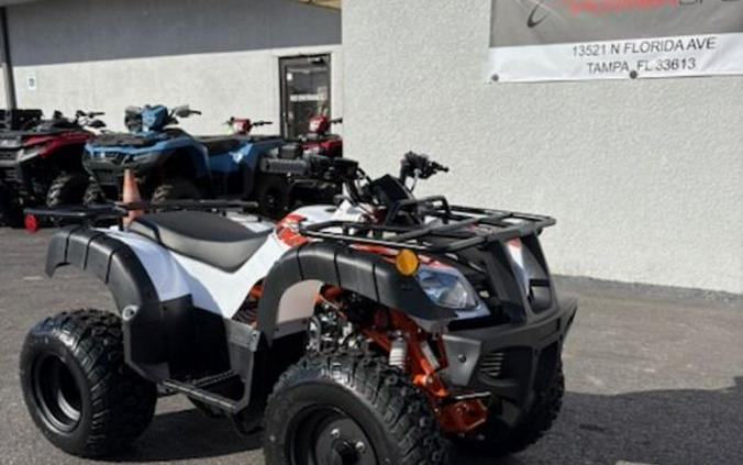 2026 Kayo Bull 150 EFI