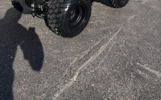 2026 Kayo Bull 150 EFI