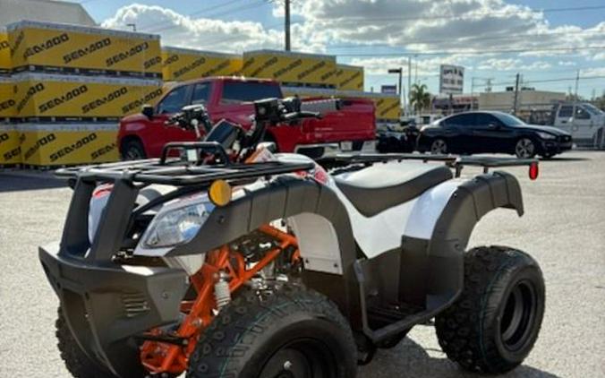 2026 Kayo Bull 150 EFI