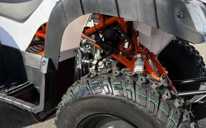 2026 Kayo Bull 150 EFI