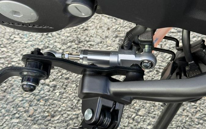 2026 Honda® Rebel 300