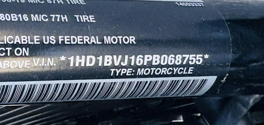 2023 Harley-Davidson® FXST - Softail® Standard